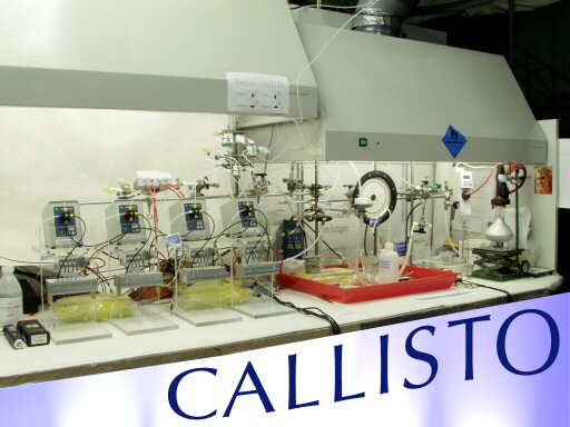 Cal1